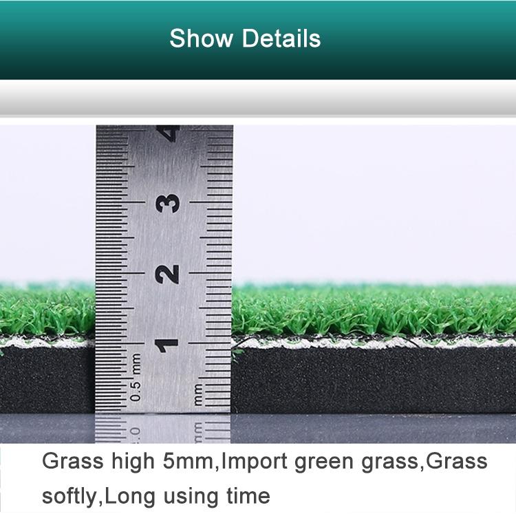 Premium Indoor Golf Mat with Tee